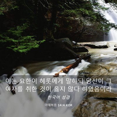 Picture 03 - 마태복음 14:4 KOR - 이는 요한이 헤롯에게 말하되 당신이 - Bible Verse Picture