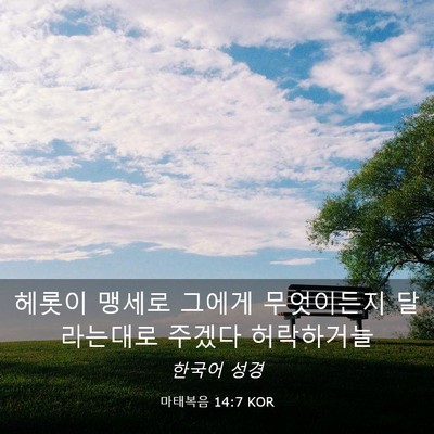 Picture 03 - 마태복음 14:7 KOR - 헤롯이 맹세로 그에게 무엇이든지 - Bible Verse Picture