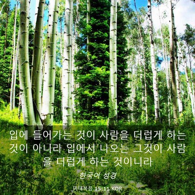 Picture 03 - 마태복음 15:11 KOR - 입에 들어가는 것이 사람을 더럽게 - Bible Verse Picture