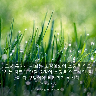 Picture 03 - 마태복음 15:14 KOR - 그냥 두어라 저희는 소경이되어 - Bible Verse Picture