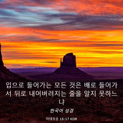 Picture 03 - 마태복음 15:17 KOR - 입으로 들어가는 모든 것은 배로 - Bible Verse Picture