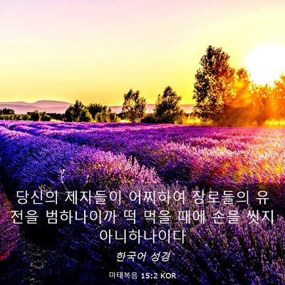 Picture 03 - 마태복음 15:2 KOR - 당신의 제자들이 어찌하여 장로들의 - Bible Verse Picture