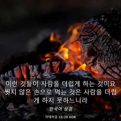 Picture 03 - 마태복음 15:20 KOR - 이런 것들이 사람을 더럽게 하는 - Bible Verse Picture