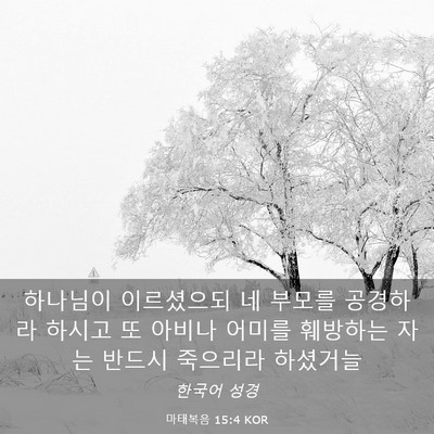Picture 03 - 마태복음 15:4 KOR - 하나님이 이르셨으되 네 부모를 - Bible Verse Picture