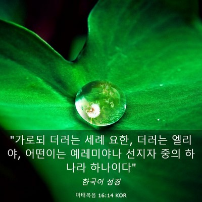 Picture 03 - 마태복음 16:14 KOR - 