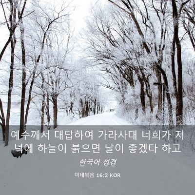 Picture 03 - 마태복음 16:2 KOR - 예수께서 대답하여 가라사대 너희가 - Bible Verse Picture