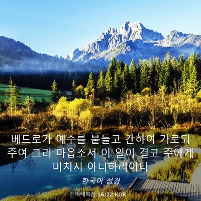 Picture 03 - 마태복음 16:22 KOR - 베드로가 예수를 붙들고 간하여 - Bible Verse Picture