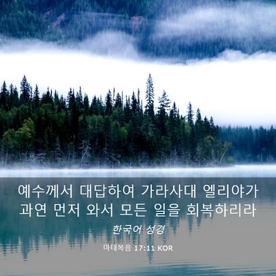 Picture 03 - 마태복음 17:11 KOR - 예수께서 대답하여 가라사대 - Bible Verse Picture