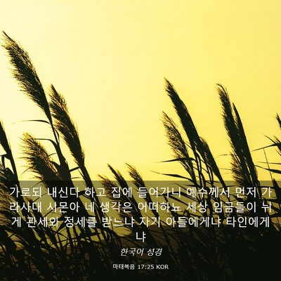 Picture 03 - 마태복음 17:25 KOR - 가로되 내신다 하고 집에 들어가니 - Bible Verse Picture
