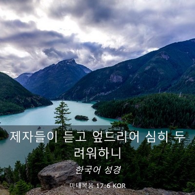 Picture 03 - 마태복음 17:6 KOR - 제자들이 듣고 엎드리어 심히 - Bible Verse Picture