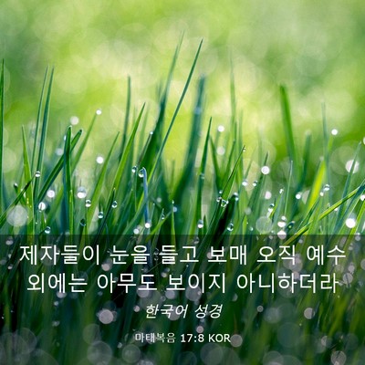 Picture 03 - 마태복음 17:8 KOR - 제자들이 눈을 들고 보매 오직 예수 - Bible Verse Picture