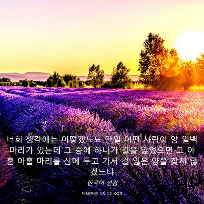Picture 03 - 마태복음 18:12 KOR - 너희 생각에는 어떻겠느뇨 만일 어떤 - Bible Verse Picture