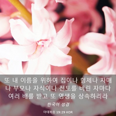Picture 03 - 마태복음 19:29 KOR - 또 내 이름을 위하여 집이나 형제나 - Bible Verse Picture