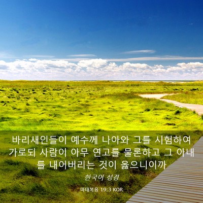Picture 03 - 마태복음 19:3 KOR - 바리새인들이 예수께 나아와 그를 - Bible Verse Picture