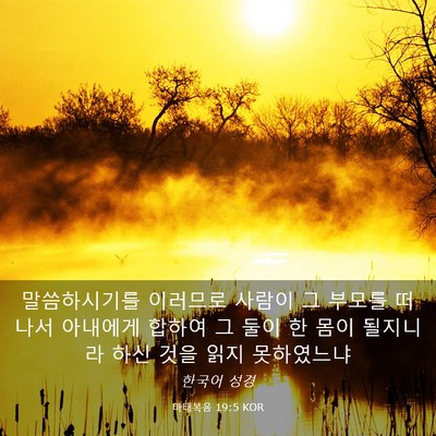 Picture 03 - 마태복음 19:5 KOR - 말씀하시기를 이러므로 사람이 그 - Bible Verse Picture