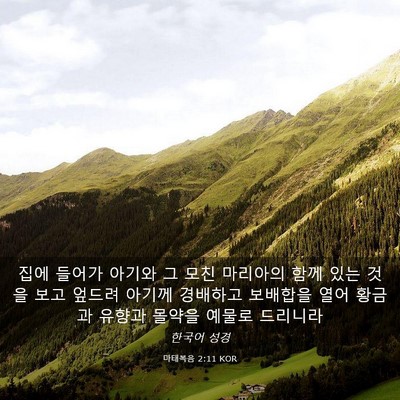 Picture 03 - 마태복음 2:11 KOR - 집에 들어가 아기와 그 모친 - Bible Verse Picture