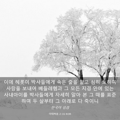 Picture 03 - 마태복음 2:16 KOR - 이에 헤롯이 박사들에게 속은 줄을 - Bible Verse Picture