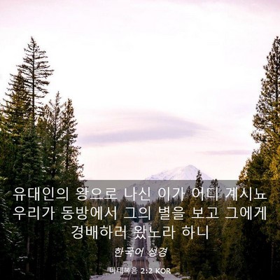 Picture 03 - 마태복음 2:2 KOR - 유대인의 왕으로 나신 이가 어디 - Bible Verse Picture