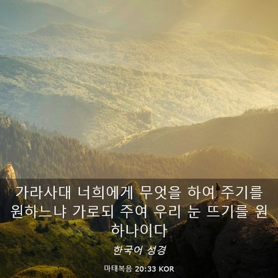 Picture 03 - 마태복음 20:33 KOR - 가라사대 너희에게 무엇을 하여 - Bible Verse Picture