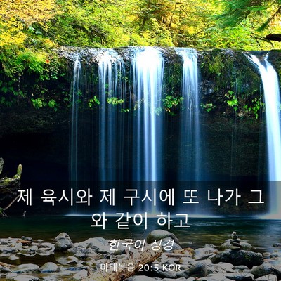 Picture 03 - 마태복음 20:5 KOR - 제 육시와 제 구시에 또 나가 그와 - Bible Verse Picture