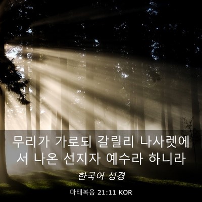 Picture 03 - 마태복음 21:11 KOR - 무리가 가로되 갈릴리 나사렛에서 - Bible Verse Picture