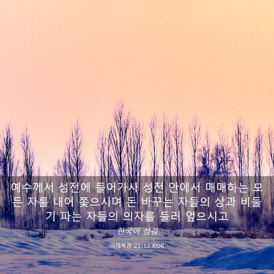 Picture 03 - 마태복음 21:12 KOR - 예수께서 성전에 들어가사 성전 - Bible Verse Picture