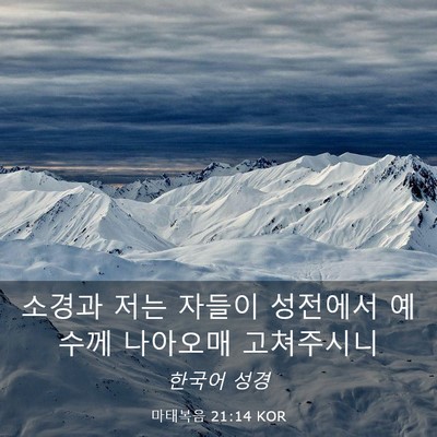 Picture 03 - 마태복음 21:14 KOR - 소경과 저는 자들이 성전에서 예수께 - Bible Verse Picture