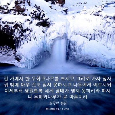 Picture 03 - 마태복음 21:19 KOR - 길 가에서 한 무화과나무를 보시고 - Bible Verse Picture