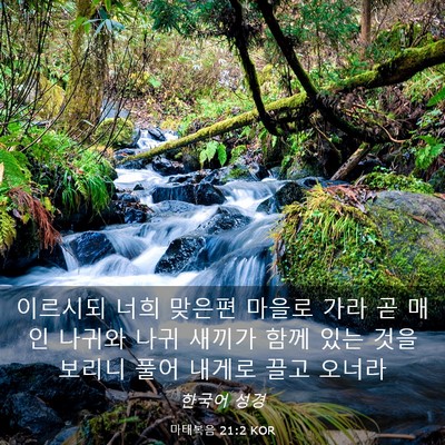 Picture 03 - 마태복음 21:2 KOR - 이르시되 너희 맞은편 마을로 가라 - Bible Verse Picture