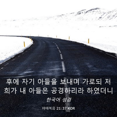 Picture 03 - 마태복음 21:37 KOR - 후에 자기 아들을 보내며 가로되 - Bible Verse Picture