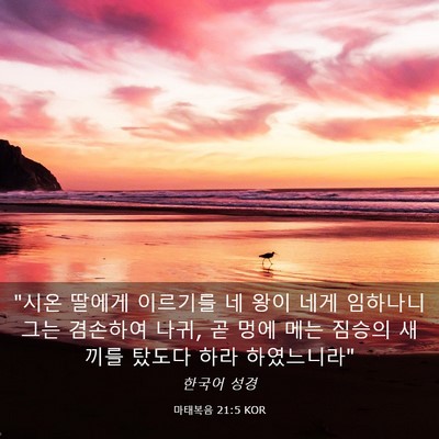 Picture 03 - 마태복음 21:5 KOR - 