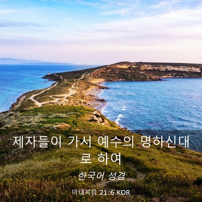 Picture 03 - 마태복음 21:6 KOR - 제자들이 가서 예수의 명하신대로 - Bible Verse Picture