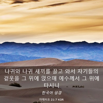 Picture 03 - 마태복음 21:7 KOR - 나귀와 나귀 새끼를 끌고 와서 - Bible Verse Picture