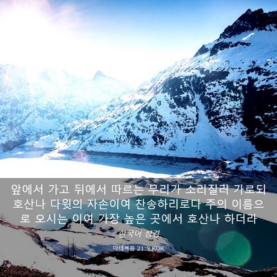 Picture 03 - 마태복음 21:9 KOR - 앞에서 가고 뒤에서 따르는 무리가 - Bible Verse Picture