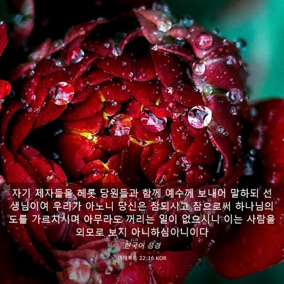 Picture 03 - 마태복음 22:16 KOR - 자기 제자들을 헤롯 당원들과 함께 - Bible Verse Picture