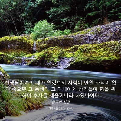 Picture 03 - 마태복음 22:24 KOR - 선생님이여 모세가 일렀으되 사람이 - Bible Verse Picture