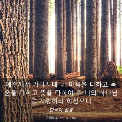 Picture 03 - 마태복음 22:37 KOR - 예수께서 가라사대 네 마음을 다하고 - Bible Verse Picture