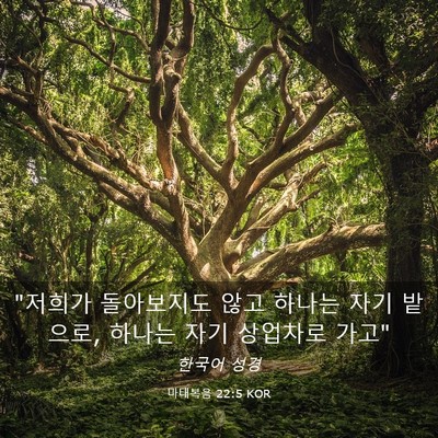 Picture 03 - 마태복음 22:5 KOR - 