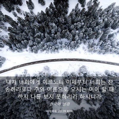Picture 03 - 마태복음 23:39 KOR - 내가 너희에게 이르노니 이제부터 - Bible Verse Picture
