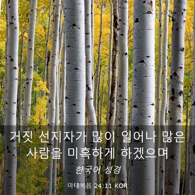 Picture 03 - 마태복음 24:11 KOR - 거짓 선지자가 많이 일어나 많은 - Bible Verse Picture
