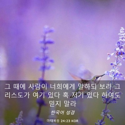 Picture 03 - 마태복음 24:23 KOR - 그 때에 사람이 너희에게 말하되 - Bible Verse Picture
