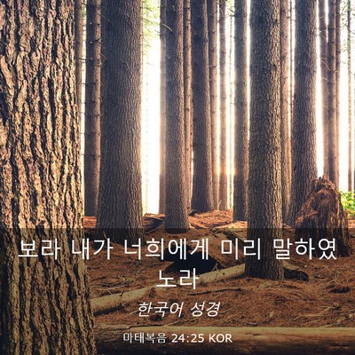 Picture 03 - 마태복음 24:25 KOR - 보라 내가 너희에게 미리 - Bible Verse Picture