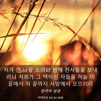 Picture 03 - 마태복음 24:31 KOR - 저가 큰 나팔 소리와 함께 천사들을 - Bible Verse Picture