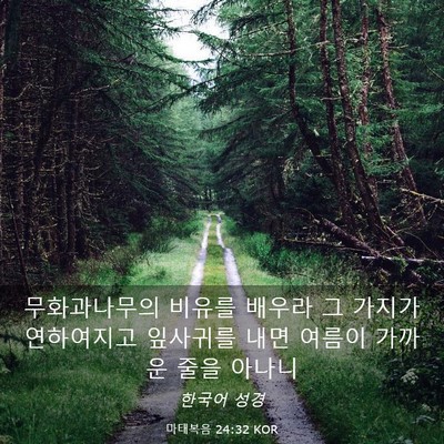 Picture 03 - 마태복음 24:32 KOR - 무화과나무의 비유를 배우라 그 - Bible Verse Picture