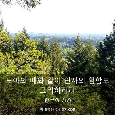 Picture 03 - 마태복음 24:37 KOR - 노아의 때와 같이 인자의 임함도 - Bible Verse Picture