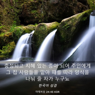 Picture 03 - 마태복음 24:45 KOR - 충성되고 지혜 있는 종이 되어 - Bible Verse Picture