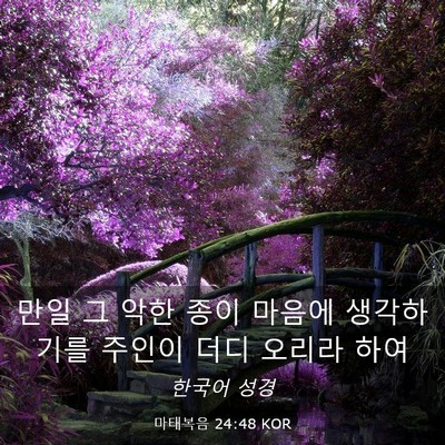 Picture 03 - 마태복음 24:48 KOR - 만일 그 악한 종이 마음에 - Bible Verse Picture