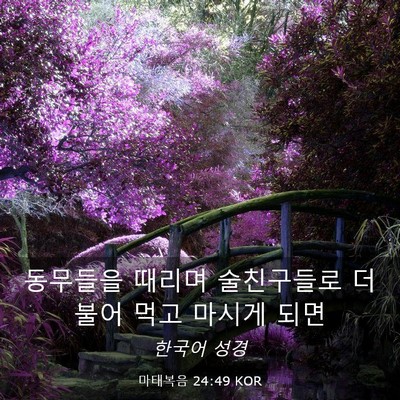 Picture 03 - 마태복음 24:49 KOR - 동무들을 때리며 술친구들로 더불어 - Bible Verse Picture