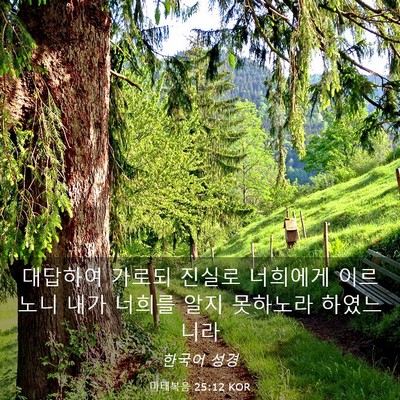 Picture 03 - 마태복음 25:12 KOR - 대답하여 가로되 진실로 너희에게 - Bible Verse Picture