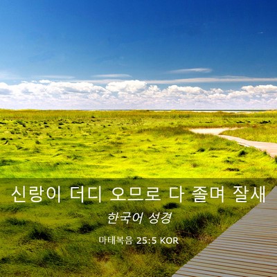 Picture 03 - 마태복음 25:5 KOR - 신랑이 더디 오므로 다 졸며 - Bible Verse Picture